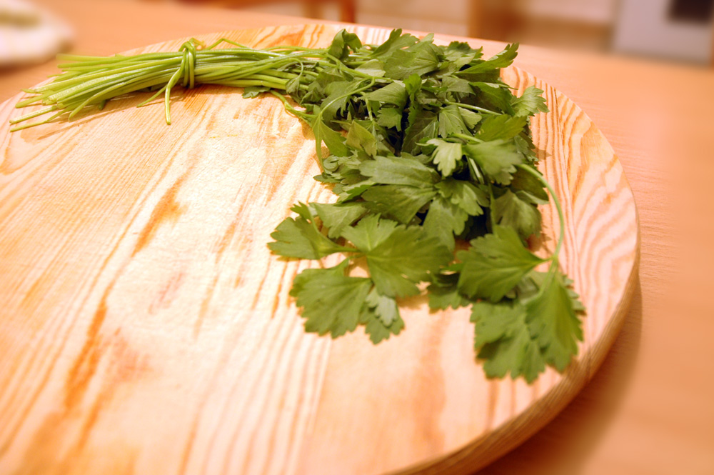 coriander